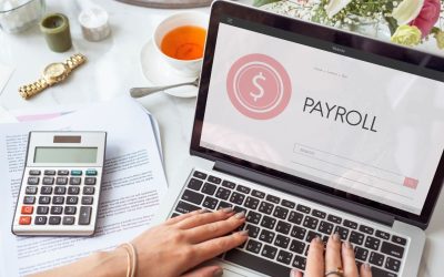 5 Reasons Every Construction Company Needs Payroll Software